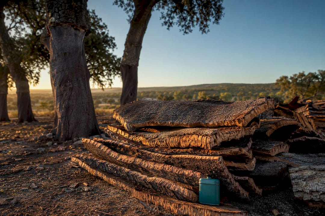 Freshly harvested cork bark in Portugal